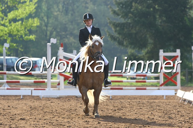 104M4878_Urmitz_Dressur E.JPG